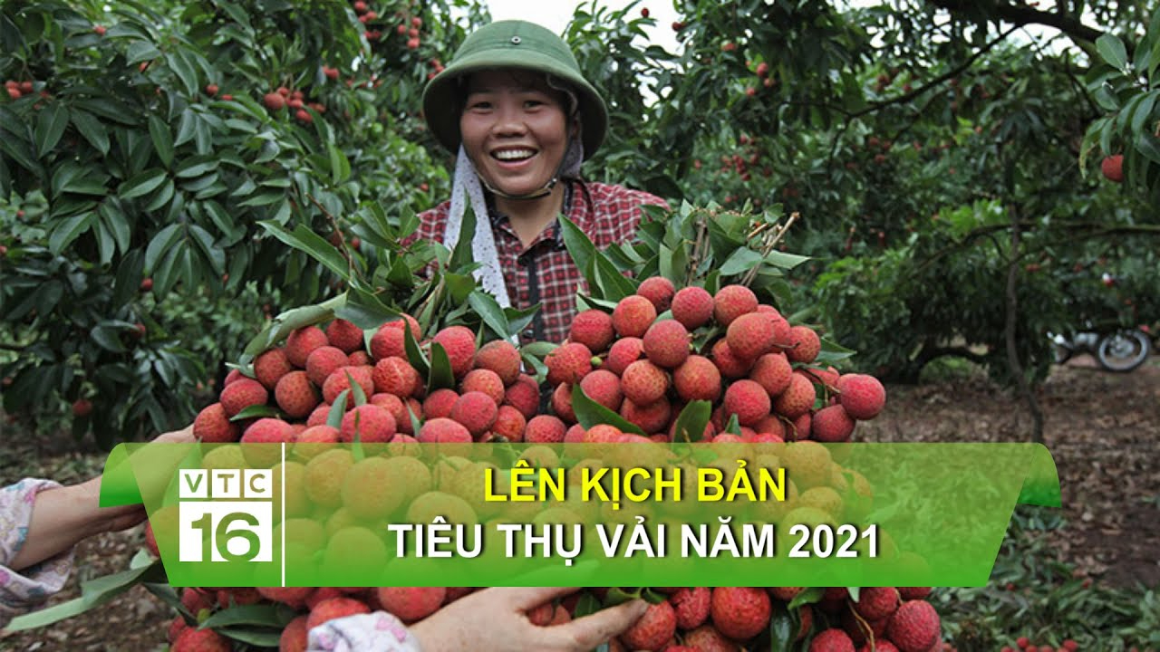 Cách Khởi Nghiệp Kiếm Tiền Bán Thời Gian Dành Cho Người Mới